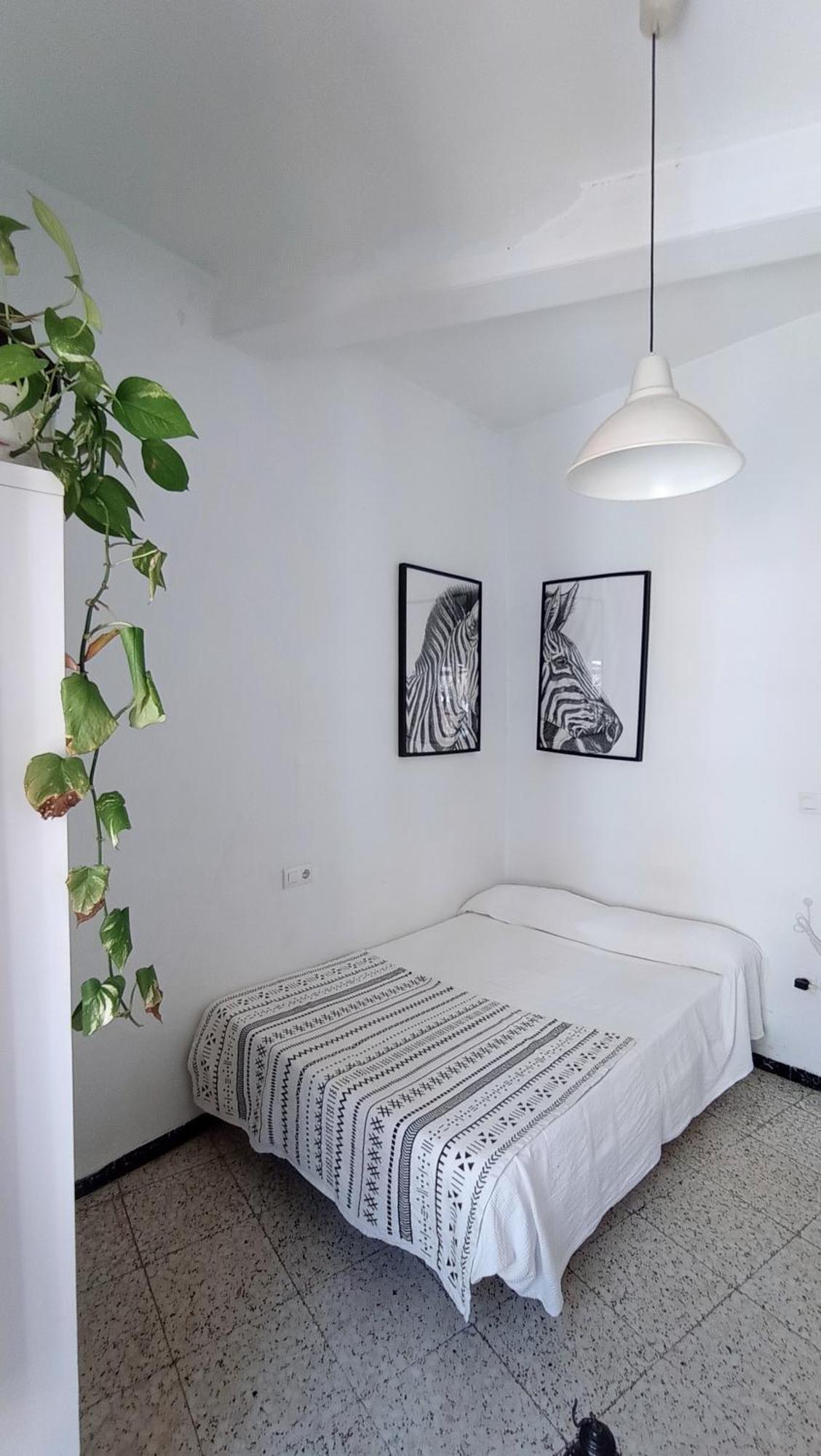 Preciosa Habitacion En Pleno Centro De Sevilla Ideal Para Hacer Turismo Y Vivir La Ciudad Sevilha Exterior foto